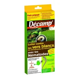 Nématodes contre vers blancs 50 m²