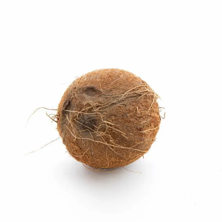 Noix de coco bio de Côte d'Ivoire - Prix à la pièce