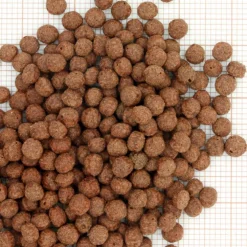 Nourriture d'été pour koïs de petite taille JBL Propond Summer - 1 kg