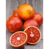 Orange sanguine Tarocco bio d'Italie - Prix au kg