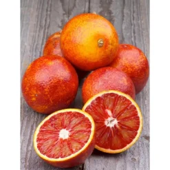 Orange sanguine Tarocco bio d'Italie - Prix au kg