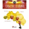 Orchidées