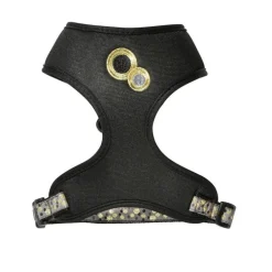 Pack harnais t-shirt et laisse pour chat en nylon coloris noir Bobby Chamane - Taille M