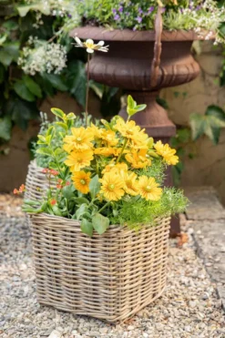 Panier carré en osier gris Marcia - 27 x 27 x 25 cm