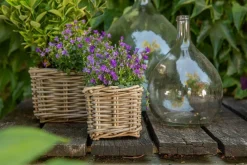 Panier carré en osier gris Marcia - 18 x 18 x 14 cm