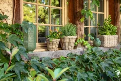 Panier rond en osier gris Marcia - Ø 29 x H 20 cm