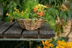 Panier rond en osier gris Marcia - Ø 41 x H 12 cm