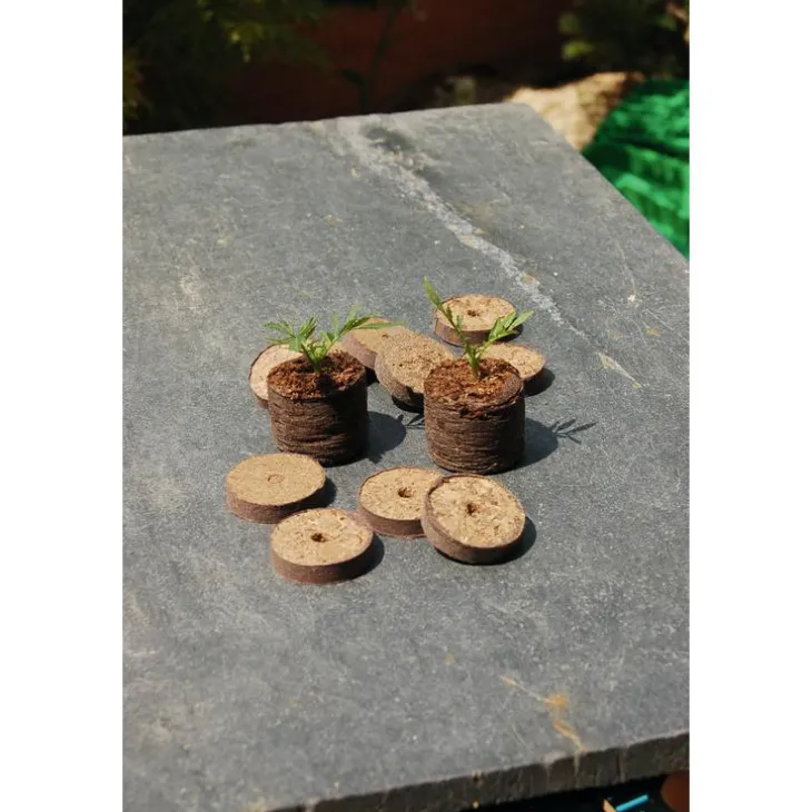 Pastille tourbe coloris marron Ø 4 cm