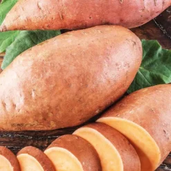 Patate Douce Bonita Bio. Le pot de 1 litre