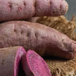 Patate Douce Sakura Bio. Le pot de 1 litre