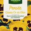 Pensée Géante Or du Rhin Vilmorin - graines à semer