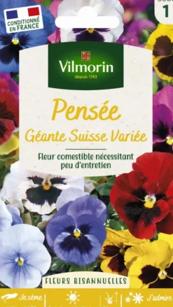 Pensée Géante Suisse Variée Vilmorin - graines à semer