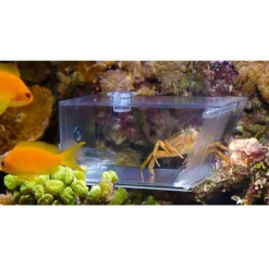 Piège à escargots, AQUA MEDIC Trap-Pest