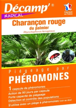 Piégeage par phéromones anti charançon rouge du palmier Décamp