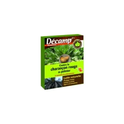 Piégeage par phéromones anti charançon rouge du palmier Décamp