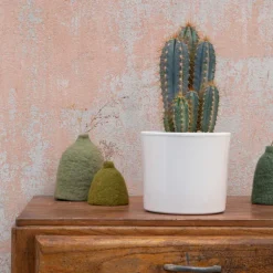 Pilosocereus azureus en pot blanc émaillé H 20 x Ø 20 cm