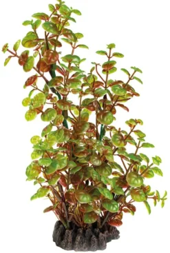 Plante artificielle pour aquarium ou terrarium coloris vert Rotala SuperFish Art Plant M - 25 cm