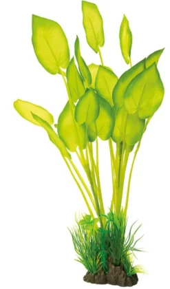Plante artificielle pour aquarium ou terrarium coloris vert Echinodorus SuperFish Art Plant L - 40 cm