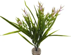 Plante artificielle pour aquarium coloris vert et rose LABEO Tillandsia GM
