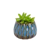 Plante verte ou fleurie cache-pot magnétique Ø 6 cm
