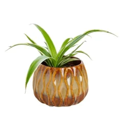 Plante verte ou fleurie cache-pot magnétique Ø 6 cm