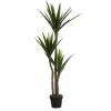 Plante yucca en pot coloris vert - 150 cm
