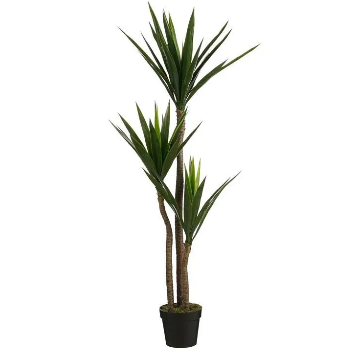 Plante yucca en pot coloris vert - 150 cm