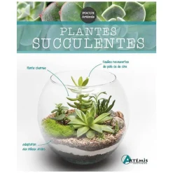 Plantes succulentes