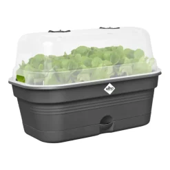 Plateau de culture en plastique recyclé coloris living noir avec couvercle serre Elho Green Basics Allin1 taille M - 18 x 32 x 13,2 cm
