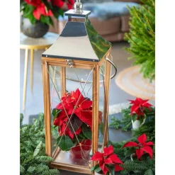 Poinsettia rouge en pot Ø 10.5 cm