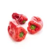 Poivron rouge bio de France ou Espagne - Prix au kg