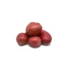 Pomme de terre Alouette bio + Pomme de terre Maïwen bio semences à planter - Le filet de 2,5 kg