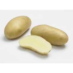 Pomme de terre Amandine calibre 25/32 Plantéo - Le sac de 25 plants