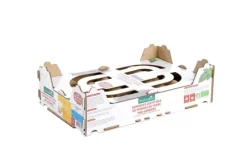 Pomme de terre Maïwen bio calibre 0001 botanic® semences à planter - La clayette de 100 plants