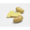 Pommes de terre Charlotte bio calibre 0001, 10 plants