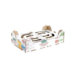 Pommes de terre Primlady bio calibre 0001, 100 plants