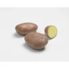 Pommes de terre Rosabelle bio calibre 0001, 1,5 kg
