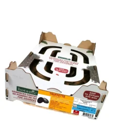 Pommes de terre Truffette bio botanic® - 60 plants