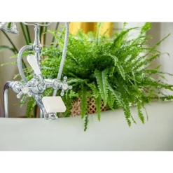 Porte-savon ventousé pour savon jusqu’à 250 g Savont - 1 pièce