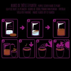 Pot Black Trèfle pourpre à semer 6.5x12 cm