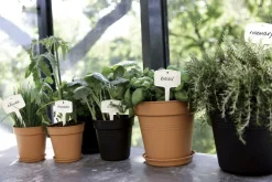 Pot 11cm Green Basics 11 cm Elho noir