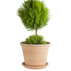 Pot Cocio Terraza en terre cuite claire D25x H25