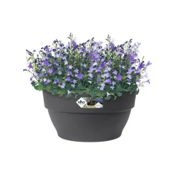 Pot coupe en plastique gris anthracite Elho Vibia - Ø 34 cm