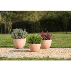 Pot Cuvier bas contemporain en terre claire H 18 x Ø 25 cm