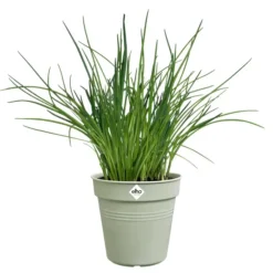 Pot de culture en polypropylène vert pierre Elho Green basics - Ø 17 x H 15,7 cm