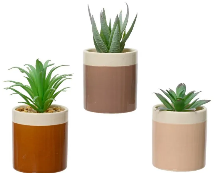 Pot de succulente coloris marron en céramique - Ø 6 cm