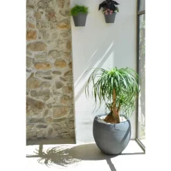 Pot egg Graphit blanc Anthracite D50 x H45