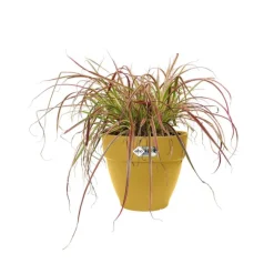 Pot en polypropylène jaune miel Elho Vibia Campana - Ø 20 x 17 cm