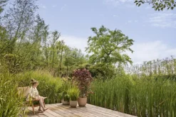 Pot en polypropylène vert scandinave Elho Sereh Round - Ø 29,5 x 25,3 cm