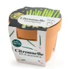 Pot en terre cuite antique avec graines de citronnelle bio Radis & Capucine